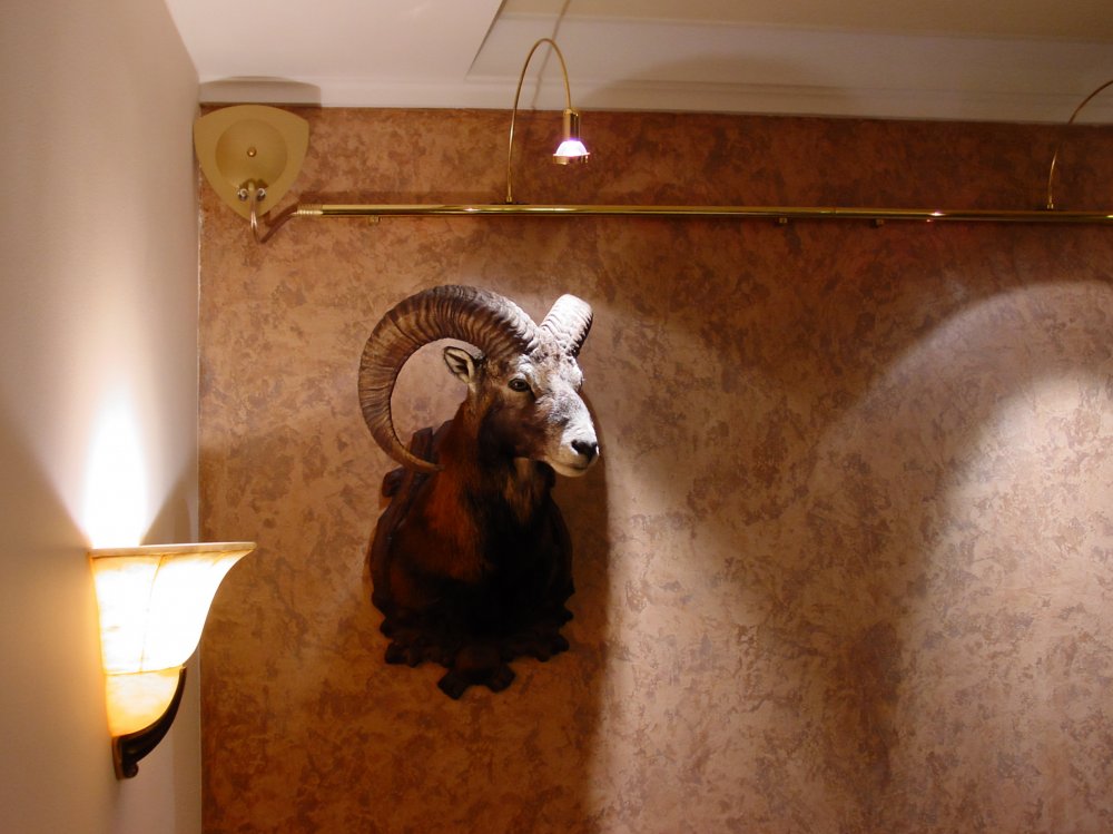 Interiér Záhorská Bystrica 2006