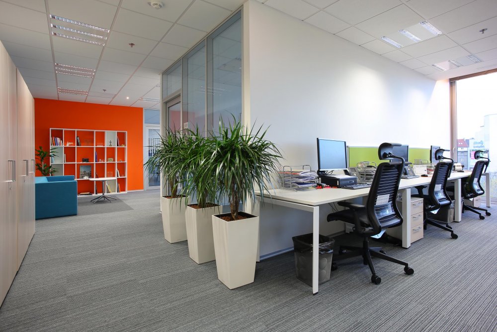 ING Bank Bratislava 2015